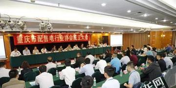 重慶市配售電行業(yè)協(xié)會成立 推動售電側(cè)改革促進行業(yè)發(fā)展