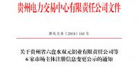 關于貴州省六盤水雙元鋁業(yè)有限責任公司等6家市場主體注冊信息變更公示的通知