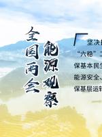 讀圖｜2020政府工作報(bào)告中這些內(nèi)容，和能源電力有關(guān)！