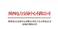 陜西電力交易中心對4家售電公司進行市場注銷